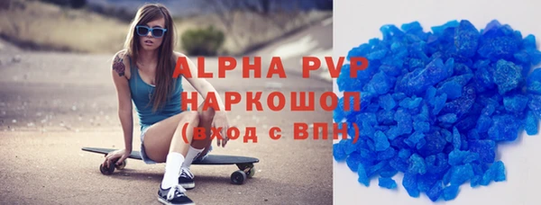 сатива Беломорск