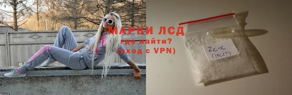 сатива Беломорск