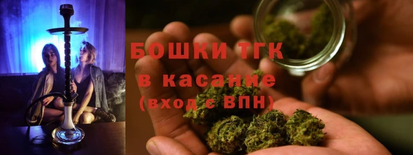 гашик Белоозёрский