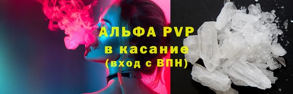 сатива Беломорск
