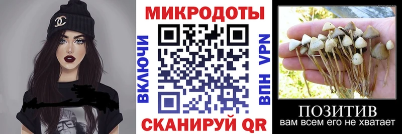 магазин  наркотиков  Купино  Псилоцибиновые грибы прущие грибы 